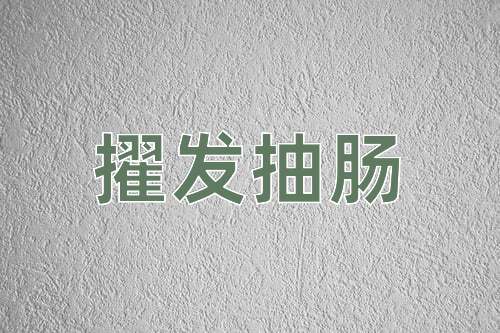 成语擢发抽肠