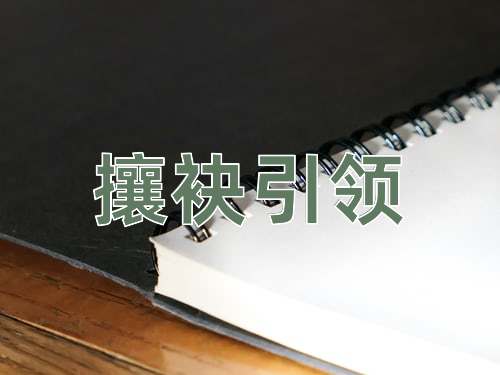 成语攘袂引领