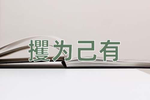成语攫为己有