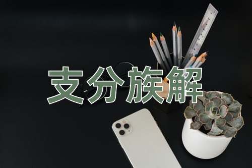 成语支分族解