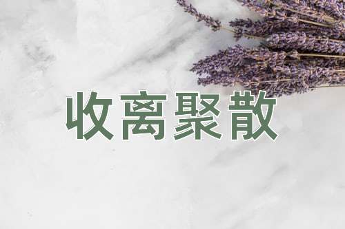 成语收离聚散