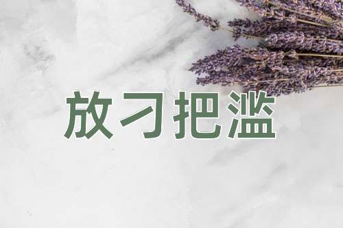 成语放刁把滥