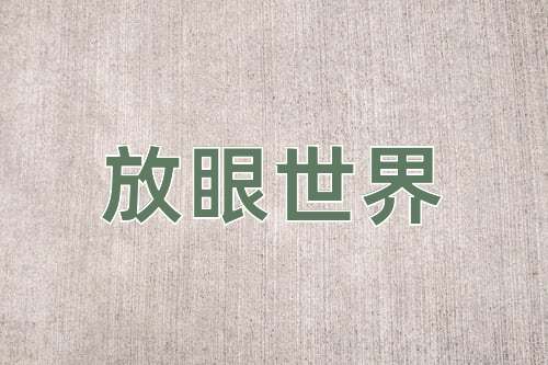 成语放眼世界