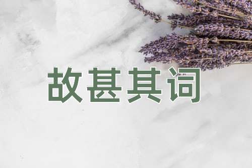 成语故甚其词