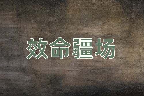 成语效命疆场