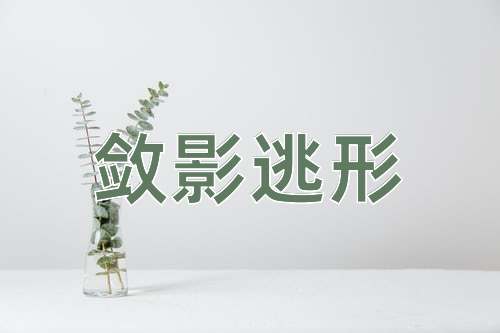 成语敛影逃形