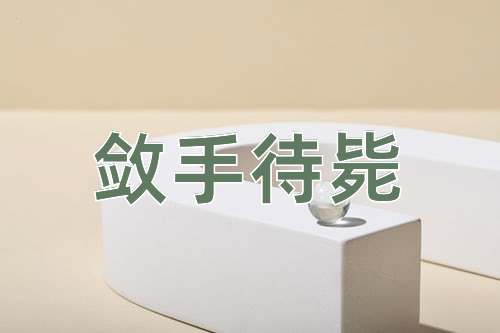成语敛手待毙
