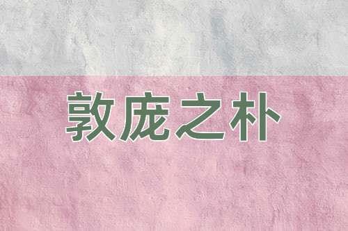 成语敦庞之朴