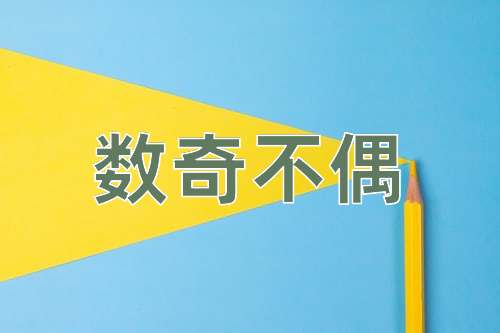 成语数奇不偶