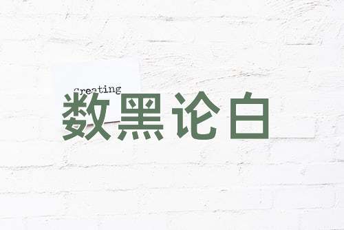成语数黑论白
