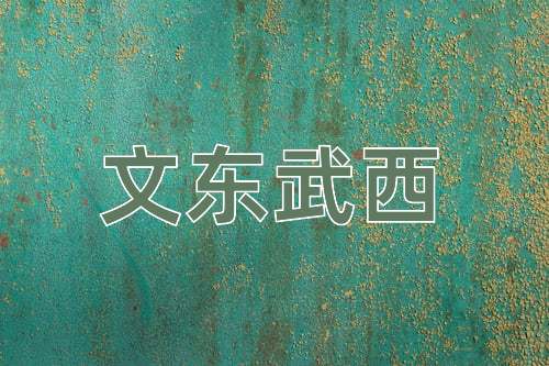 成语文东武西