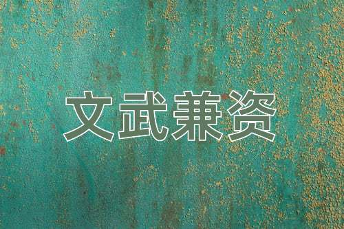 成语文武兼资