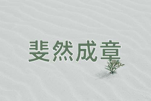 成语斐然成章