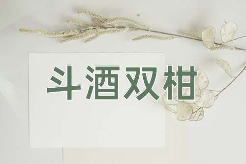 成语斗酒双柑
