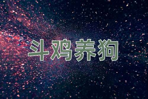 成语斗鸡养狗
