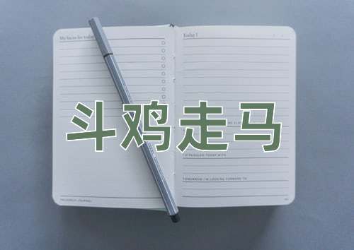 成语斗鸡走马