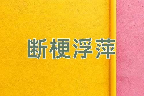 成语断梗浮萍