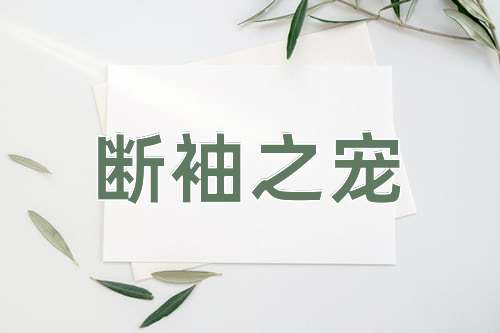 成语断袖之宠