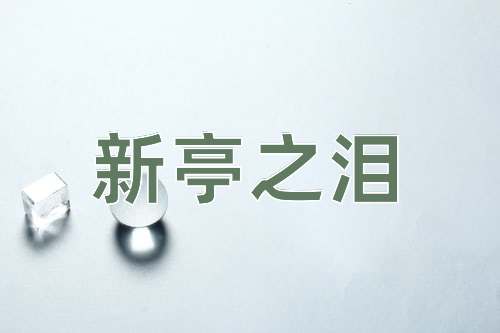 成语新亭之泪
