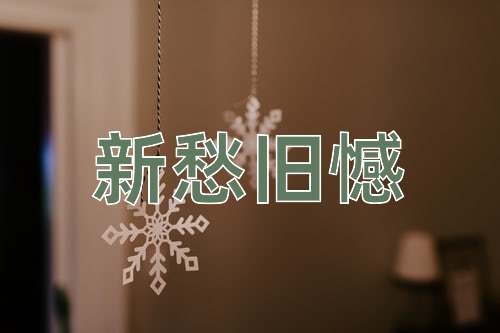 成语新愁旧憾