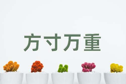 成语方寸万重