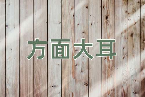 成语方面大耳