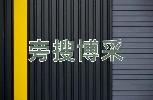 成语旁搜博采