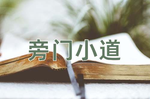 成语旁门小道