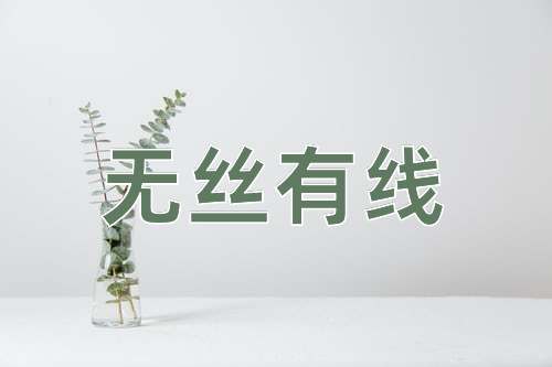 成语无丝有线
