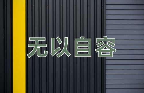 成语无以自容
