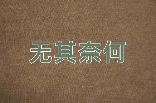 成语无其奈何