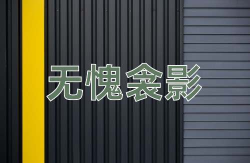 成语无愧衾影
