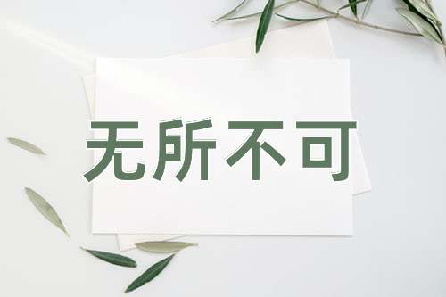 成语无所不可