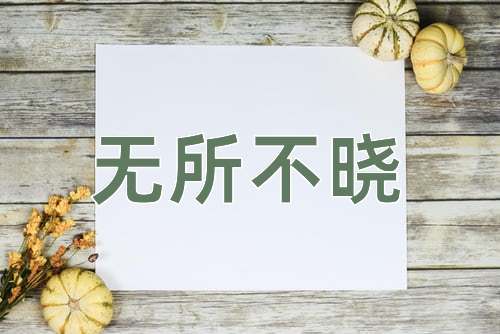 成语无所不晓