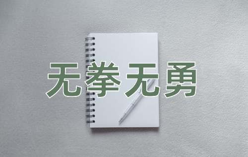 成语无拳无勇
