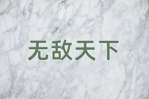 成语无敌天下