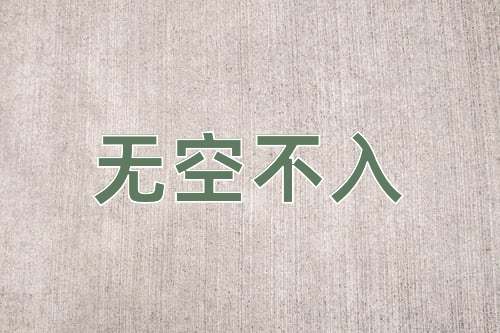 成语无空不入