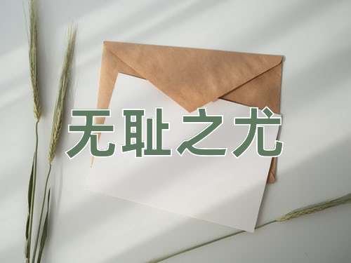成语无耻之尤
