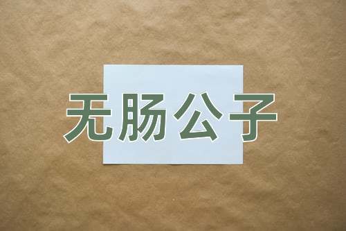 成语无肠公子