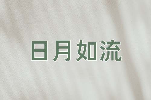 成语日月如流