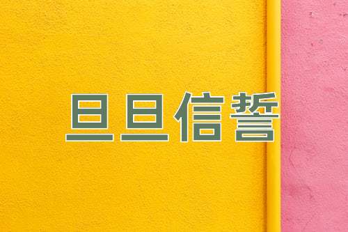 成语旦旦信誓