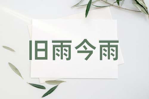 成语旧雨今雨