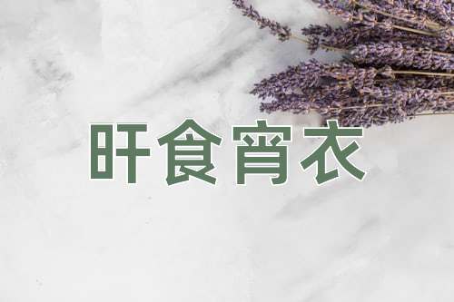 成语旰食宵衣