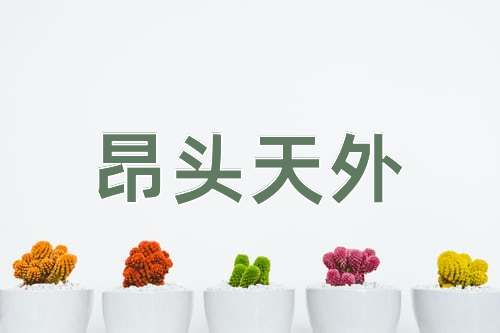成语昂头天外