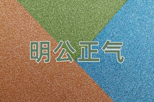 成语明公正气