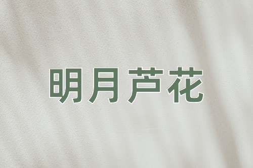 成语明月芦花