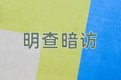 成语明查暗访