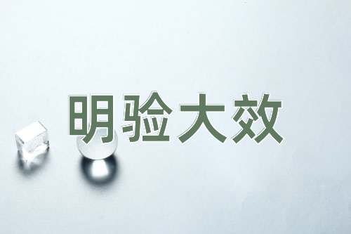 成语明验大效