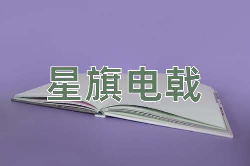 成语星旗电戟
