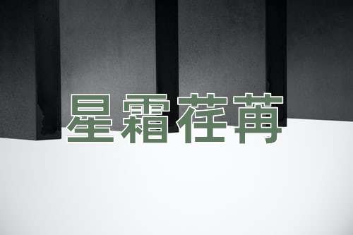 成语星霜荏苒